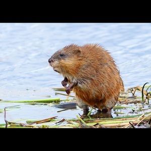 Meet your Posher, Hailey